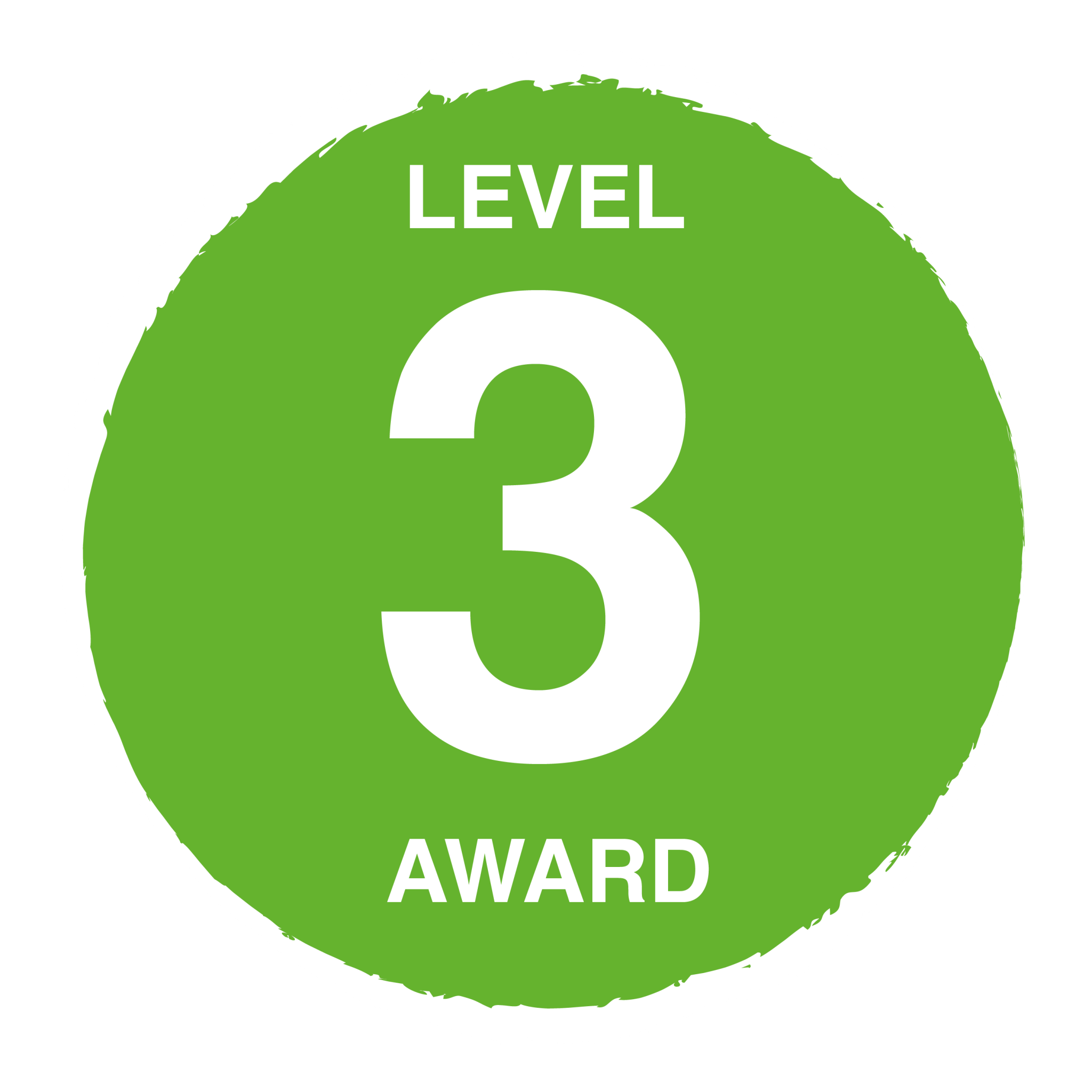 Level 3 Award
